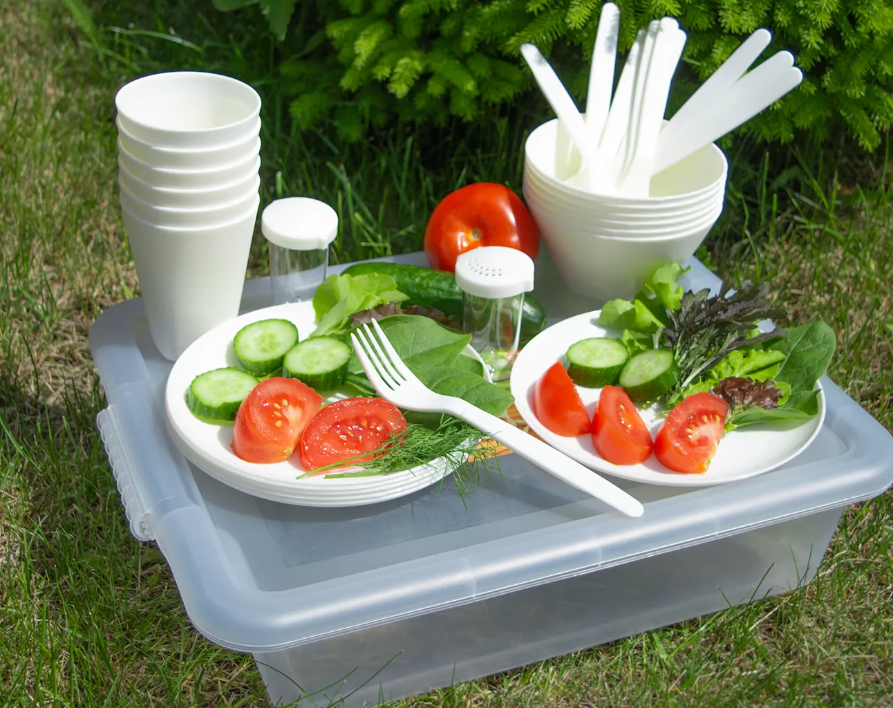 IK 79991000 жемчужный (pearl)-3.webp